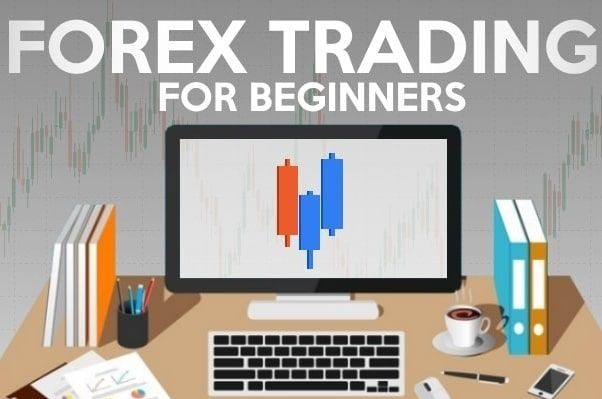 Đầu tư Forex, chứng khoán bất cứ ai cũng có thể bắt đầu