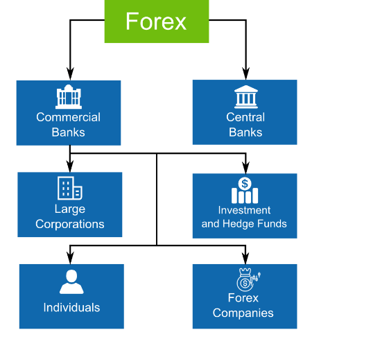 Ai đang tham gia trên thị trường Forex, chứng khoán? Ai đang tham gia trên thị trường Forex, chứng khoán?