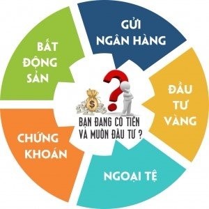 Tiết lộ bí mật những kênh sinh lời cho nhà đầu tư