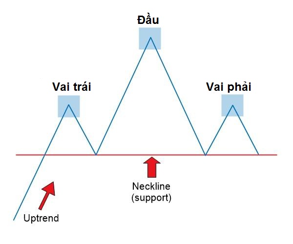 Mô hình kinh điển và sự hình thành thú vị