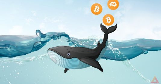 Cá voi Bitcoin là ai? Và cách mà họ thao túng thị trường Cá voi Bitcoin là ai? Và cách mà họ thao túng thị trường