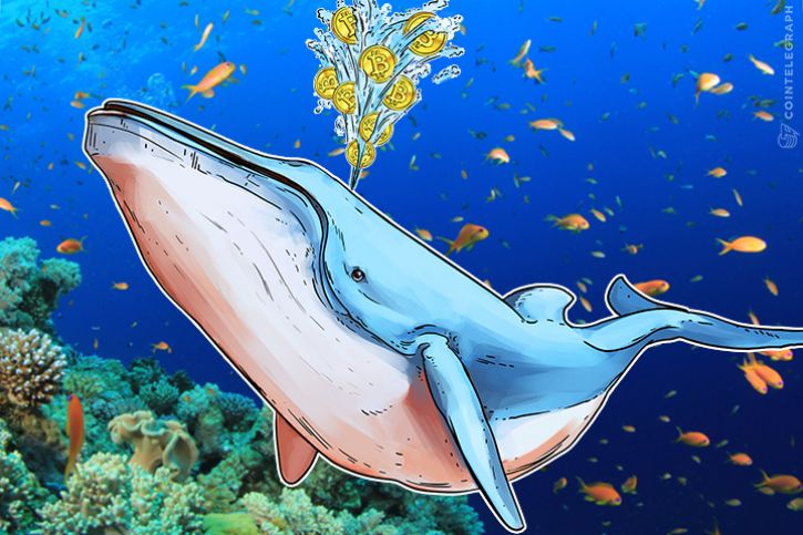 Cá voi Bitcoin: Staking ETH là một mưu đồ tiếp thị Cá voi Bitcoin: Staking ETH là một mưu đồ tiếp thị