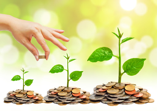 Đầu tư gì hiệu quả với số vốn 1000 đô? Đầu tư gì hiệu quả với số vốn 1000 đô?