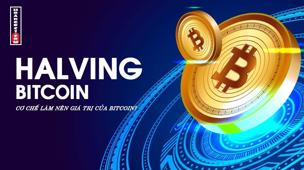 Bitcoin Halving là gì ? Nó có ý nghĩa gì với giá Bitcoin ? Bitcoin Halving là gì ? Nó có ý nghĩa gì với giá Bitcoin ?