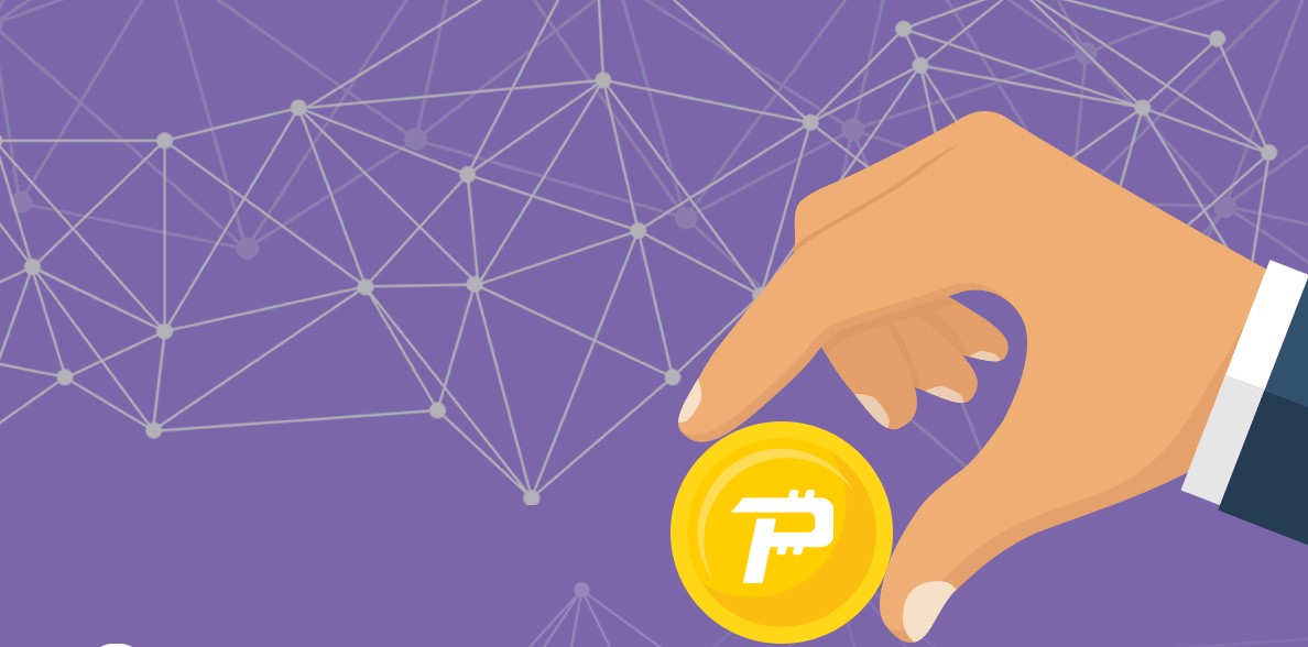 PascalCoin là gì? Tìm hiểu về đồng tiền mã hóa PASC