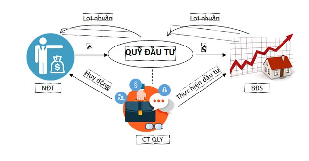 Những điều cần biết về các quỹ đầu tư Việt Nam