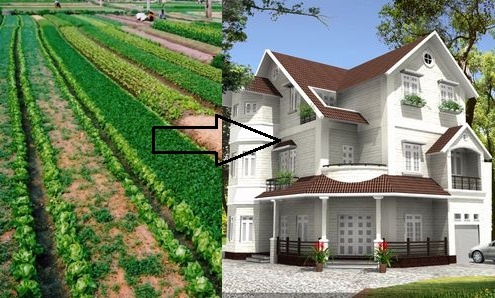 Thủ tục chuyển mục đích đất ruộng thành đất ở?