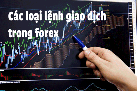 Lệnh và các loại lệnh trong giao dịch forex