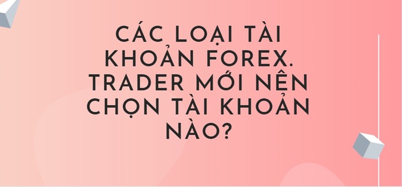 Các loại tài khoản forex? Trader mới nên chọn tài khoản nào? Các loại tài khoản forex? Trader mới nên chọn tài khoản nào?