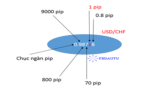 Pip là gì? Cách tính pip và giá trị pip trong forex Pip là gì? Cách tính pip và giá trị pip trong forex