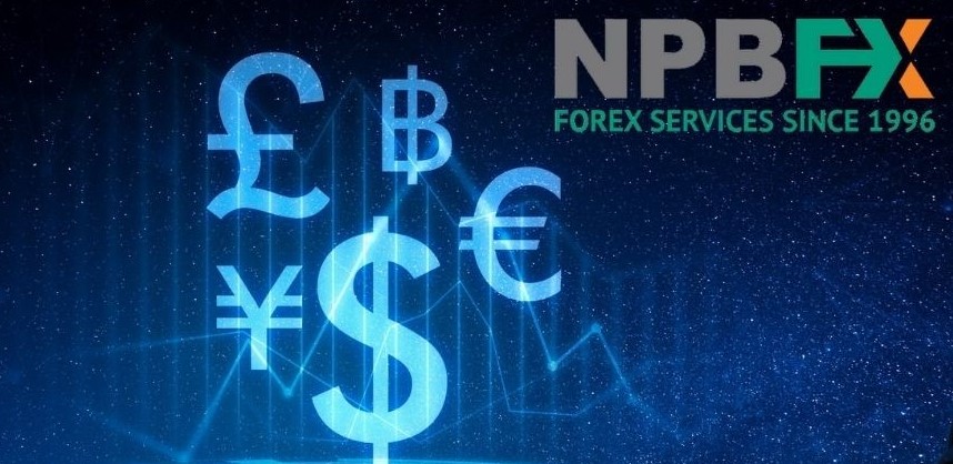 Hướng dẫn nạp rút tiền trên tài khoản sàn NPBFX Hướng dẫn nạp rút tiền trên tài khoản sàn NPBFX