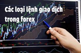 Cách lệnh giao dịch mà trader nào cũng phải biết Cách lệnh giao dịch mà trader nào cũng phải biết