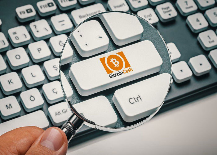 Đào Bitcoin Cash có còn lợi nhuận không? Đào Bitcoin Cash có còn lợi nhuận không?