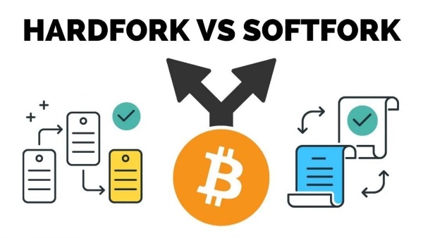 Fork, Soft Fork và Hard Fork là gì trong thị trường Crypto Fork, Soft Fork và Hard Fork là gì trong thị trường Crypto
