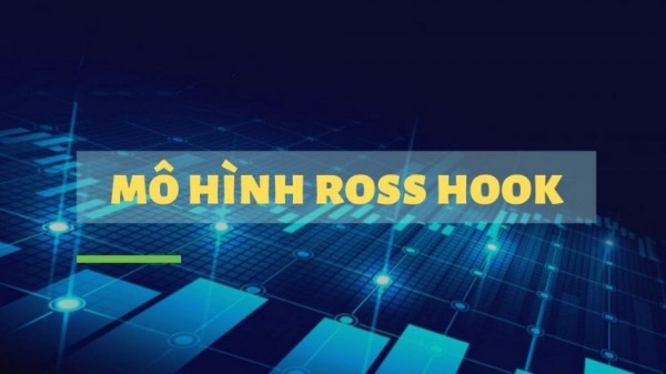Thông tin mô hình Ross Hook