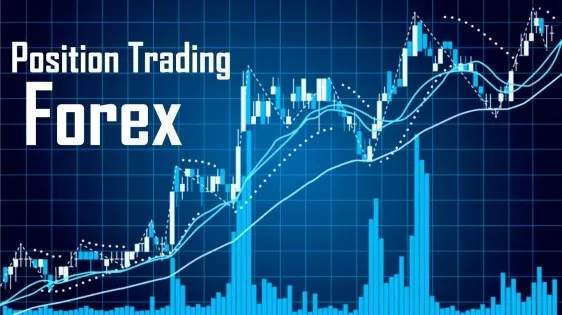 Position trading là gì? Cách thức hoạt động của Position trading