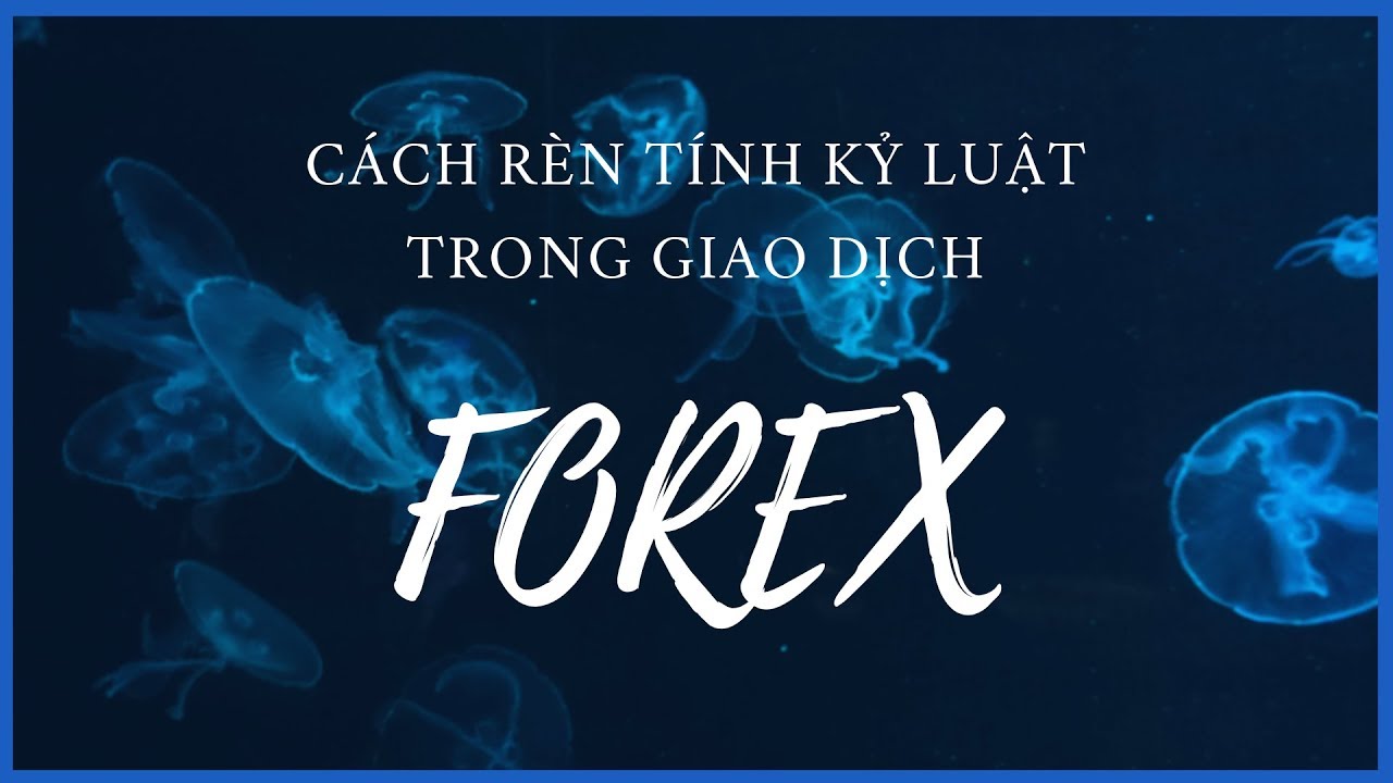 Rèn luyện kỷ luật trong Forex như thế nào? Rèn luyện kỷ luật trong Forex như thế nào?