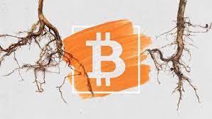 Taproot là gì? Nó mang lại lợi ích như thế nào cho Bitcoin?