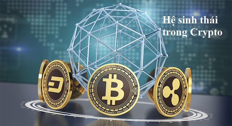 Định nghĩa hệ sinh thái trong Crypto. Tại sao mỗi Blockchain cần một hệ sinh thái?