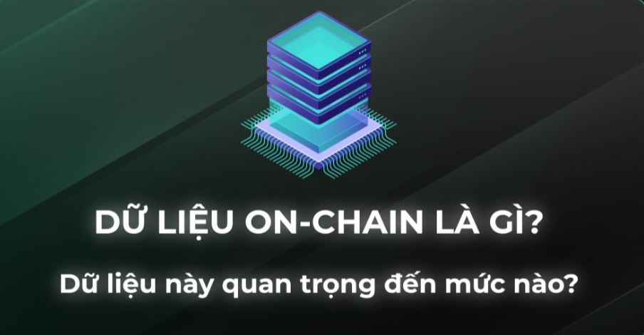 Dữ liệu On-chain là gì? Những điều cần biết về dữ liệu On-chain Dữ liệu On-chain là gì? Những điều cần biết về dữ liệu On-chain