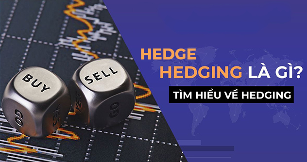 Hedge, Hedging là gì? Chiến lược sử dụng hedging hiệu quả