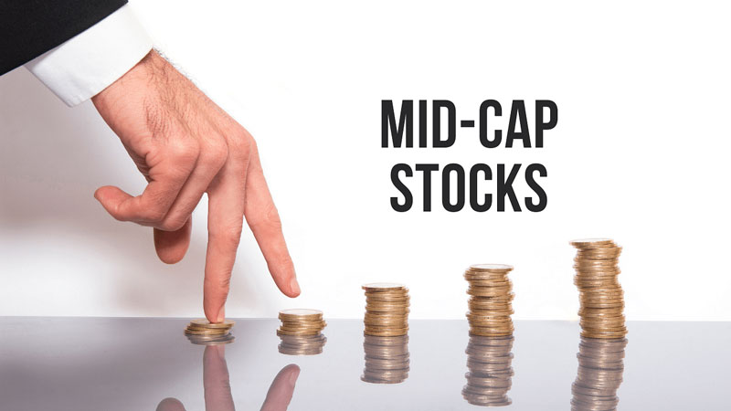 Midcap là gì? Những điều cần biết về cổ phiếu Midcap Midcap là gì? Những điều cần biết về cổ phiếu Midcap