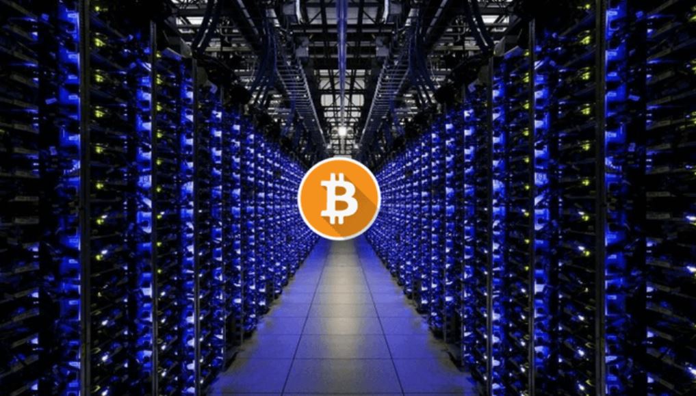 Trâu cày Bitcoin là gì? Có nên đầu tư trâu cày không? Trâu cày Bitcoin là gì? Có nên đầu tư trâu cày không?