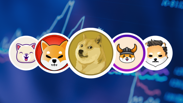 Meme coin là gì? Có nên đầu tư vào Meme Coin không?