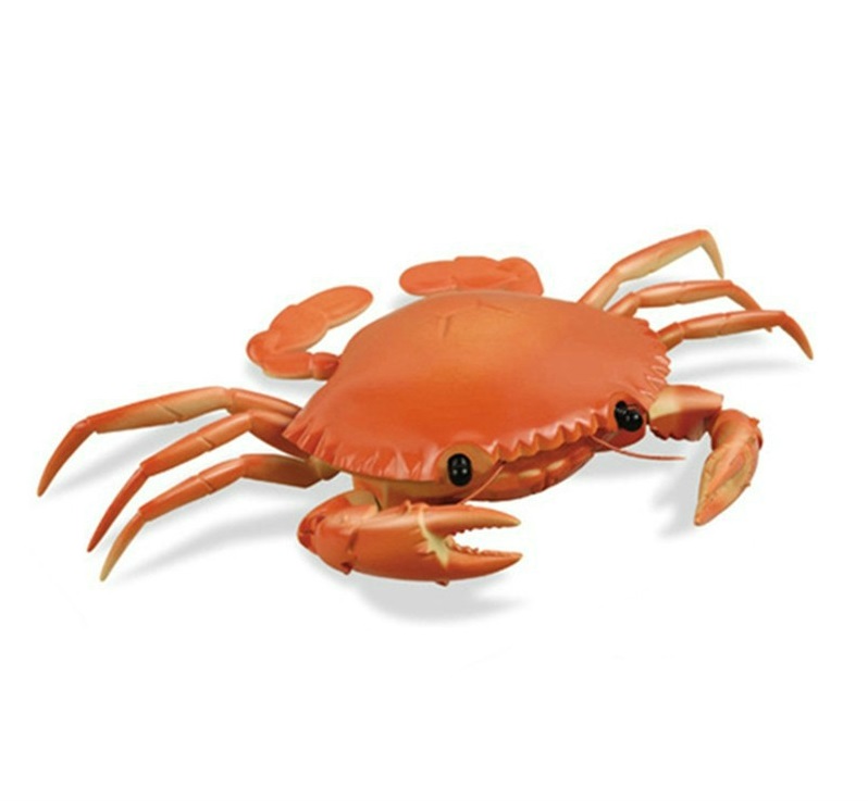 Mô hình con cua (Harmonic Crab) là gì?