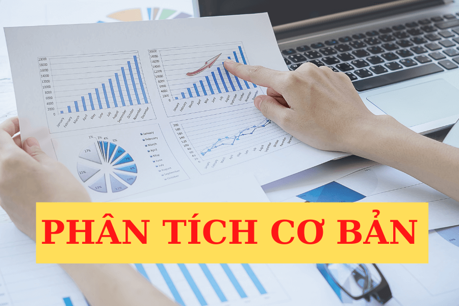 Phân tích cơ bản là gì? Tầm quan trọng của phân tích cơ bản