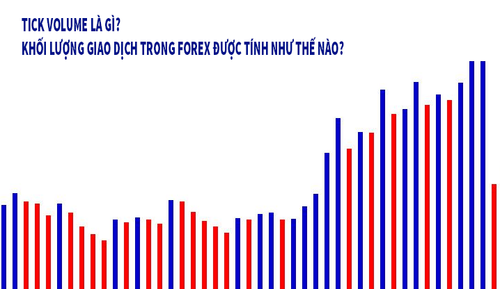 Tick Volume là gì? Hướng dẫn sử dụng Tick Volume trong Forex