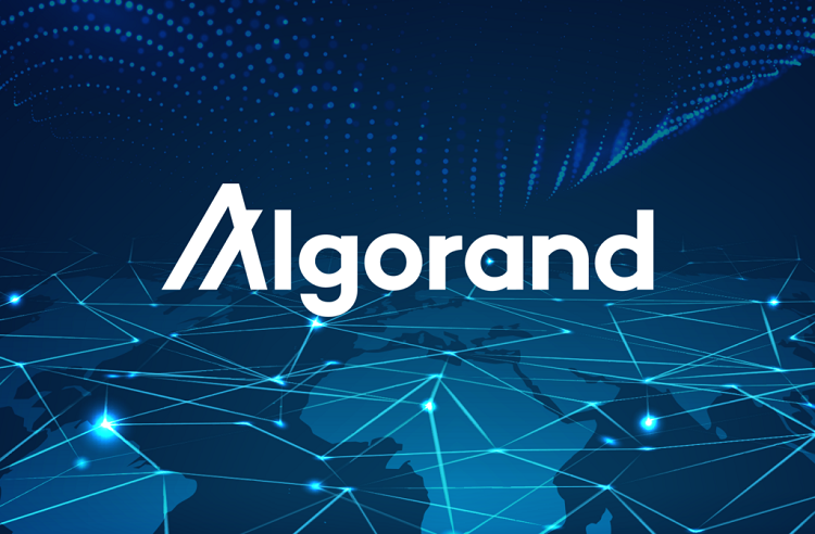 Algorand là gì? Tìm hiểu về đồng ALGO