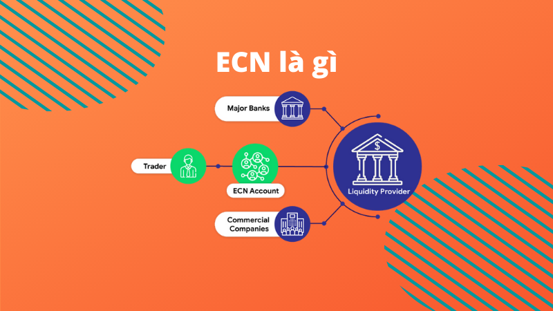 ECN là gì? Cách lựa chọn sàn ECN tốt nhất