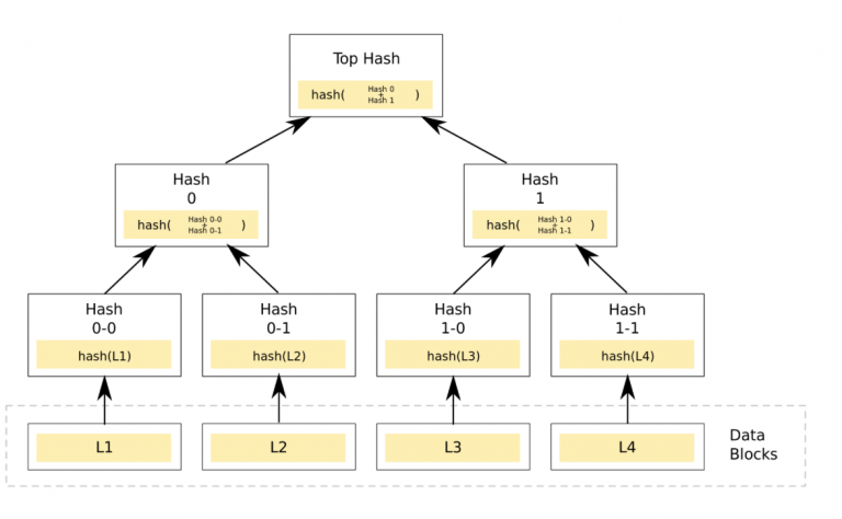 Merkle Tree là gì? Vì sao cây Merkle lại quan trọng trong Blockchain? Merkle Tree là gì? Vì sao cây Merkle lại quan trọng trong Blockchain?