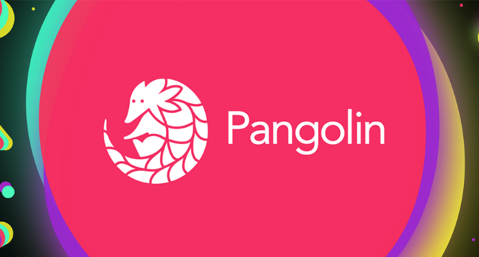 Sàn Pangolin là gì? Hướng dẫn mua token trên sàn Pangolin