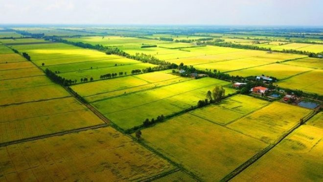 Chuyên gia: “Đầu tư đất nông nghiệp có thể nhân giá 200-500 lần trong 10 năm”