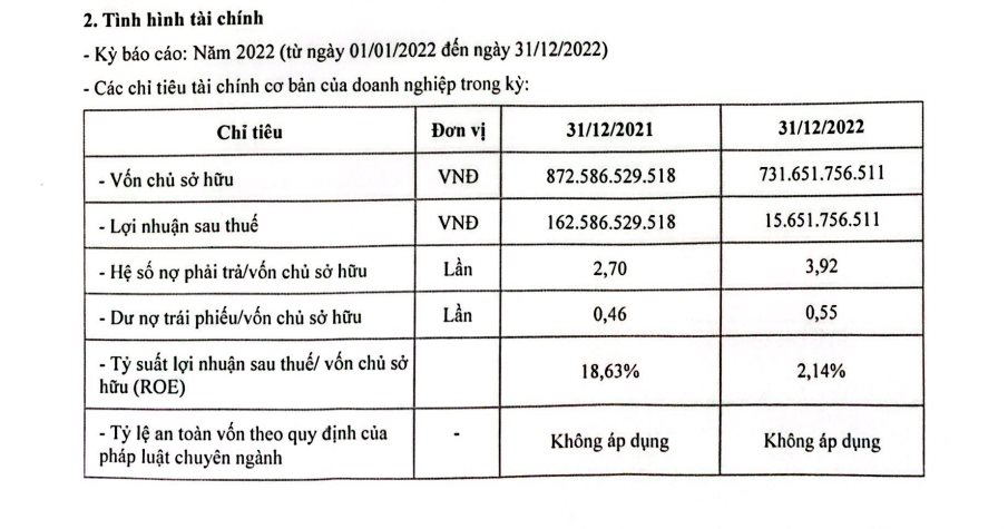 Lợi nhuận Hải Phát Land giảm mạnh trong năm 2022, nợ phải trả cao gấp gần 4 lần vốn chủ sở hữu