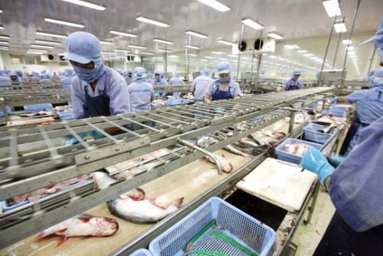 Xuất khẩu thuỷ sản quý 1/2023 – Góc nhìn từ thị trường Mỹ và Trung Quốc