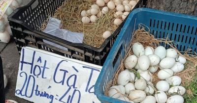 Chuyện lạ: Trứng gà ta rẻ hơn trứng gà công nghiệp