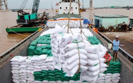 Bức tranh “sáng màu” của gạo Việt: Xuất khẩu quý 1 lập đỉnh 12 năm