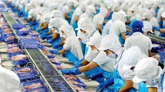 Xuất khẩu cá tra giảm gần 40% dù Trung Quốc tăng cường nhập khẩu
