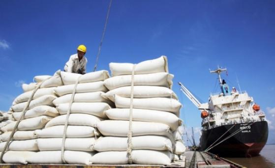 Nhu cầu tiêu thụ “ấm” dần, xuất khẩu gạo Việt Nam có thể bùng nổ trong 2023