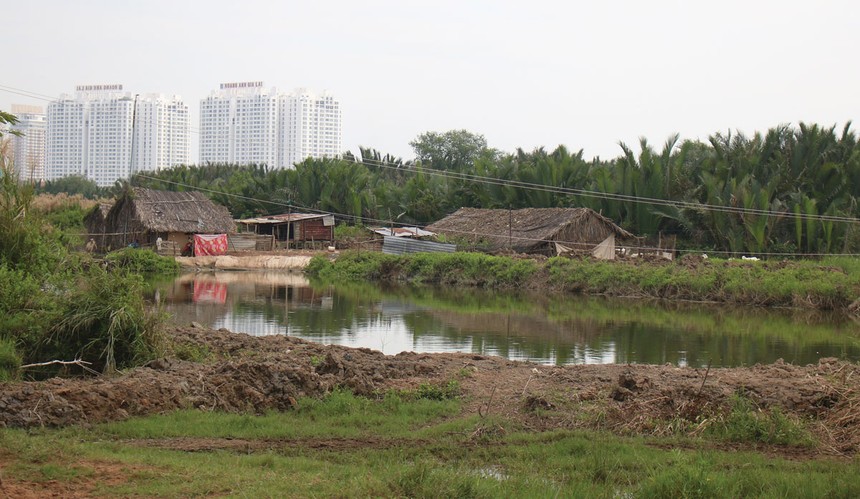 Cổ phiếu QCG tăng gấp đôi sau hơn 2 tuần