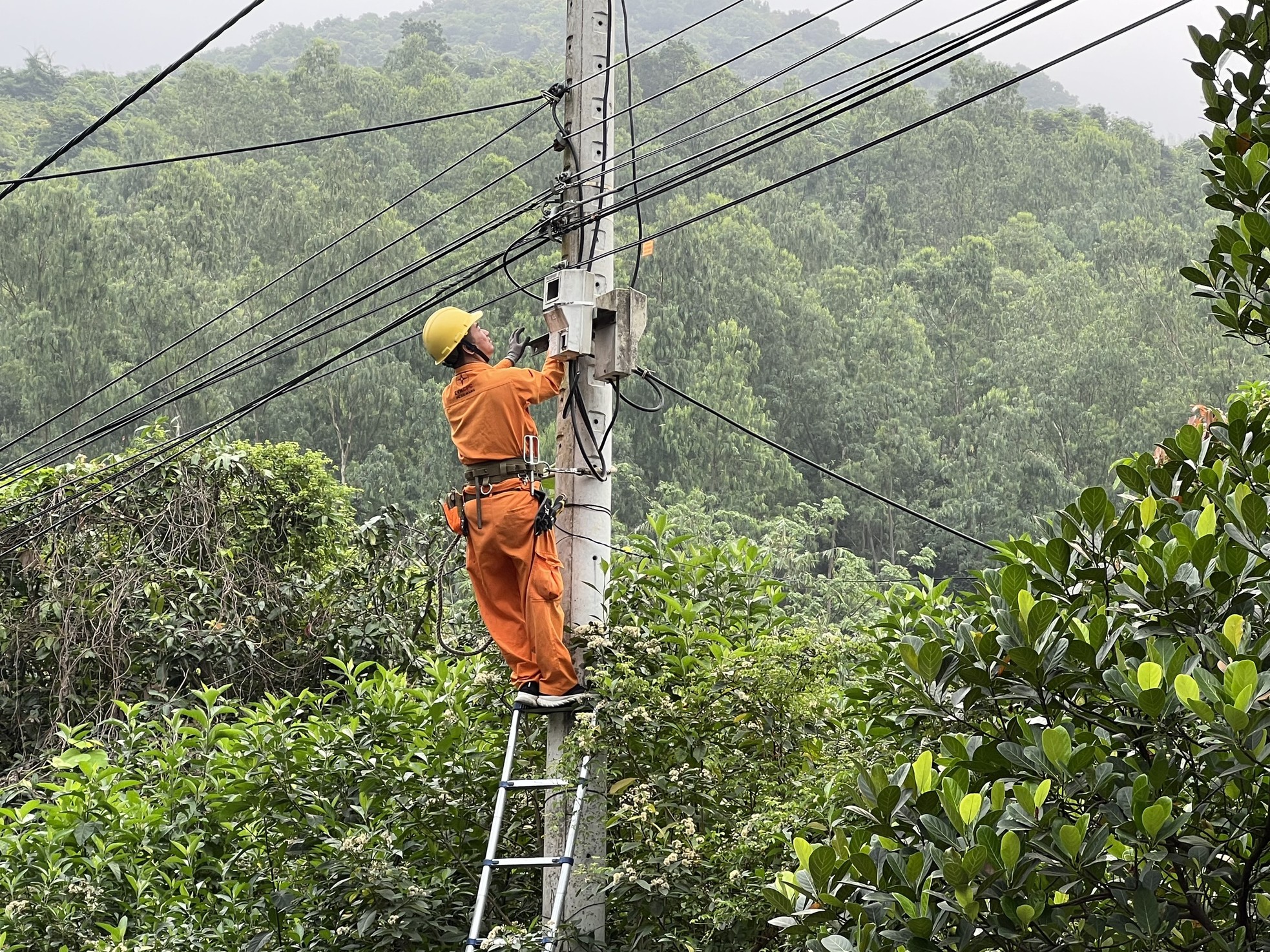 Cưỡng chế hàng loạt nhà hàng trái phép trên bán đảo Sơn Trà - Ảnh 7.