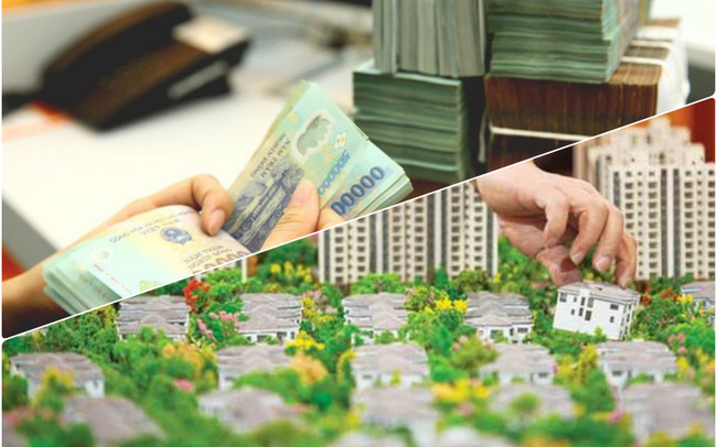 Sửa Luật Đất đai có giảm được đầu cơ, bong bóng bất động sản? - Ảnh 2. Sửa Luật Đất đai có giảm được đầu cơ, bong bóng bất động sản? - Ảnh 2.