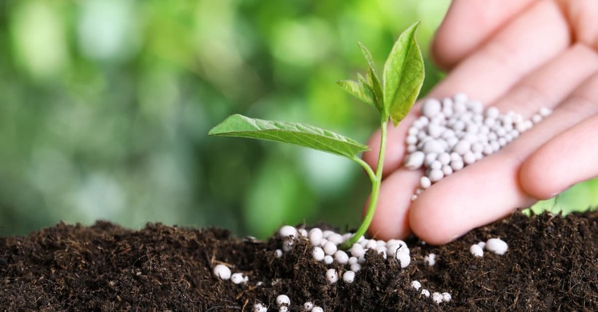 Giao dịch chứng khoán sáng 3/7: Nhóm cổ phiếu phân bón nhen nhóm dậy sóng