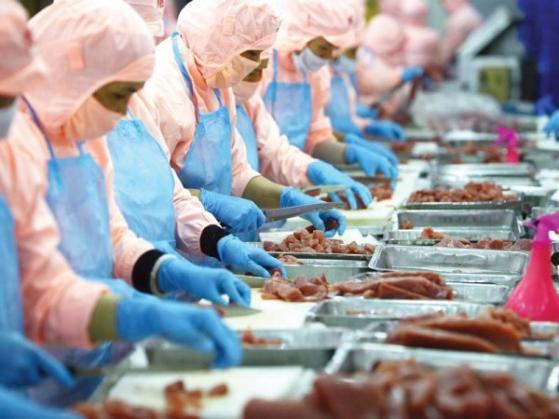 Mục tiêu xuất khẩu thuỷ sản đạt 10 tỷ USD trong 2023 – Khó khăn còn hiện hữu