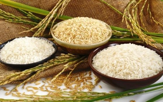 Giá lúa gạo hôm nay 5/4: Tăng mạnh 1.000 đồng/kg