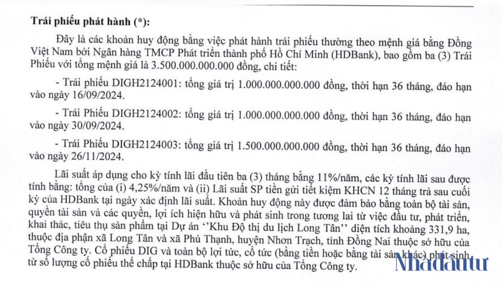 Long đong 'giấc mơ' Long Tân của DIC Corp - Ảnh 3. Long đong 'giấc mơ' Long Tân của DIC Corp - Ảnh 3.