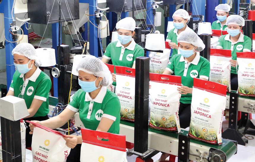Cổ phiếu ngành gạo hấp dẫn nhà đầu tư